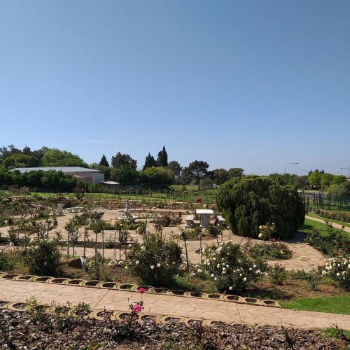 Durbanville Rose Garden