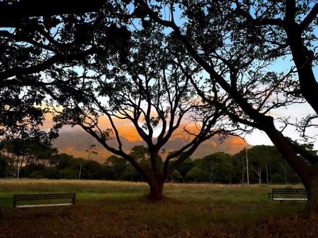 Keurboom park