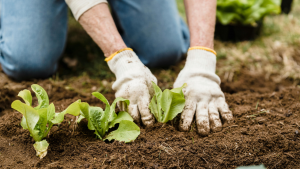 March Gardening Guide