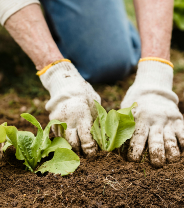 March Gardening Guide