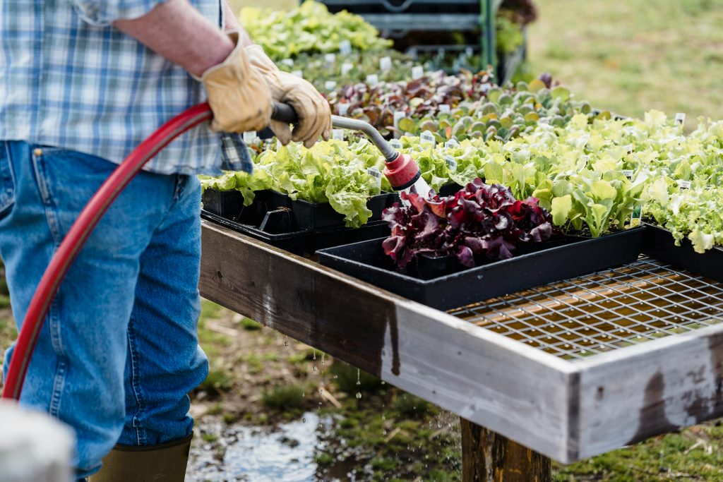 March Gardening - Water Tips