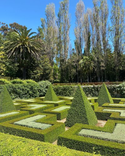 Stellenberg Gardens Best Gardens and Parks in Cape Town