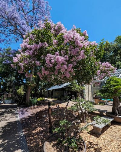 Stellenbosch University Botanical Garden - Gardens and Parks in Cape Town