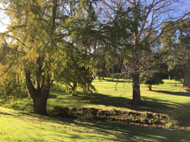 Wynberg Park - Gardens and Parks in Cape Town