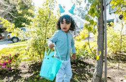 Get your garden ready for an Easter egg hunt