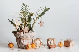 Plant wrapped in fabric