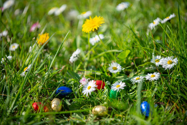 Easter egg hunt, celebration