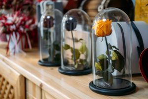 Preserved Roses in flower preserving glass