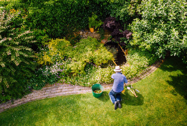 Aerial view of a man maintaining his garden lawn.