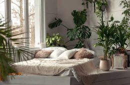 Cozy bright bedroom with indoor plants.