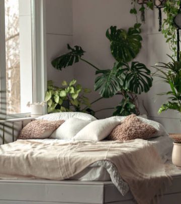 Cozy bright bedroom with indoor plants.
