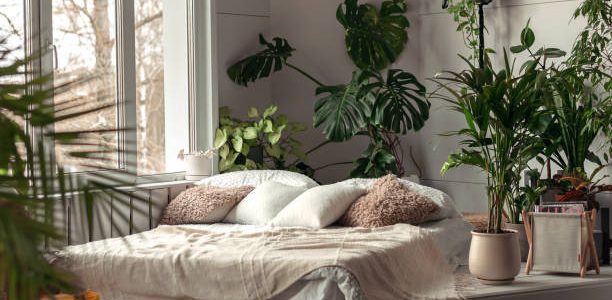 Cozy bright bedroom with indoor plants.