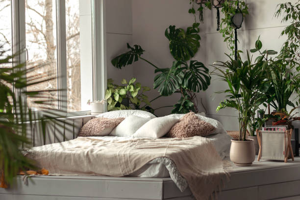 How to Redecorate Your Bedroom - Cozy bright bedroom with indoor plants. 