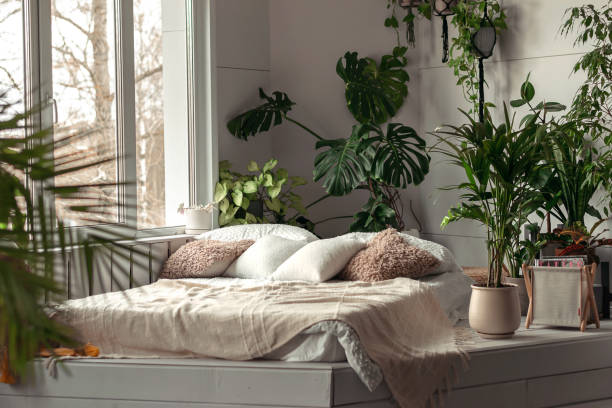 Cozy bright bedroom with indoor plants.