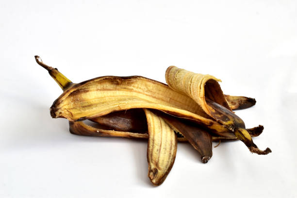 Drying out banana peel on white background