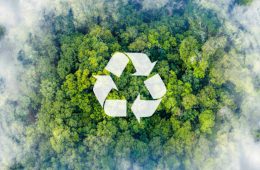 Recycle symbol on the forest background