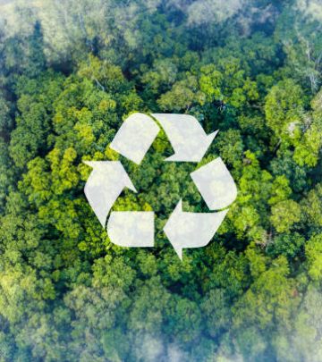 Recycle symbol on the forest background