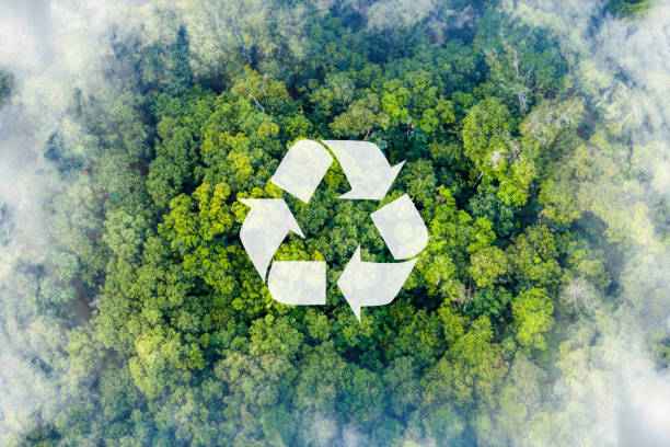 Recycle symbol on the forest background