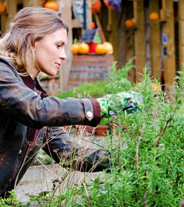 Woman in a garden, taking care of plants, pruning.