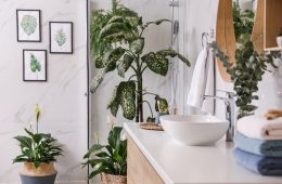 plants-that-thrive-in-the-bathroom