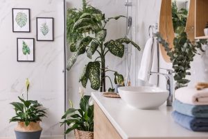 plants-that-thrive-in-the-bathroom
