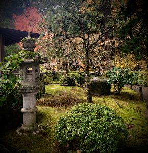 Zen Garden