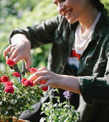 The best cut flowers to grow in your garden