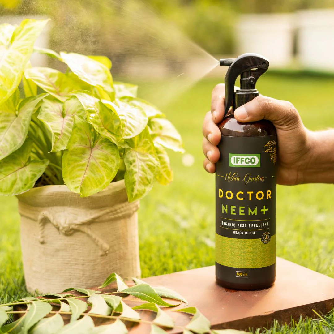 How to use neem oil on your plants