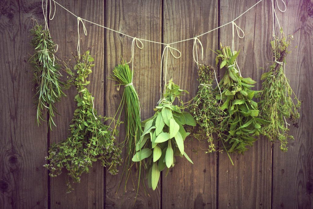 Drying herbs