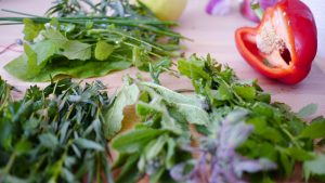 How to dry herbs and know when to pick them from your garden