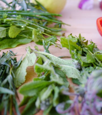 How to dry herbs and know when to pick them from your garden