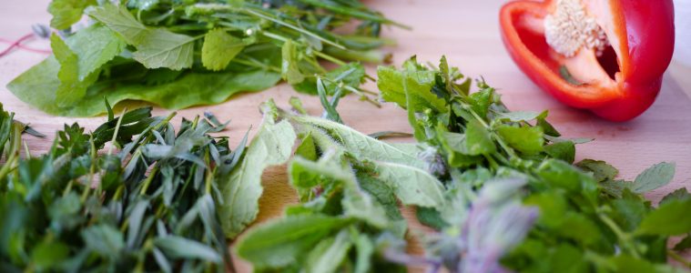 How to dry herbs and know when to pick them from your garden
