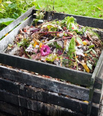 Mindful ways to use garden waste