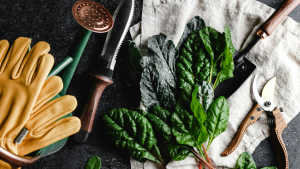 Tips for maintaining Garden Tools