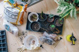 Winter garden activities