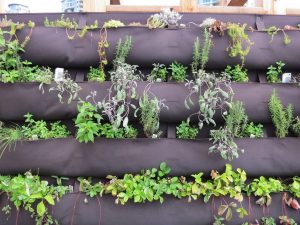 Black fabric wall plant hanging on outside wall