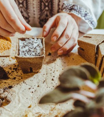 Gardener preparing seeds for seed stratification