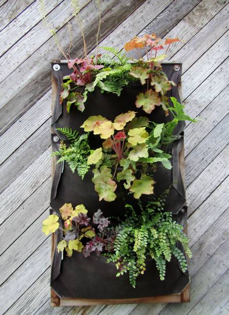 3 pocket wall hanging planter.