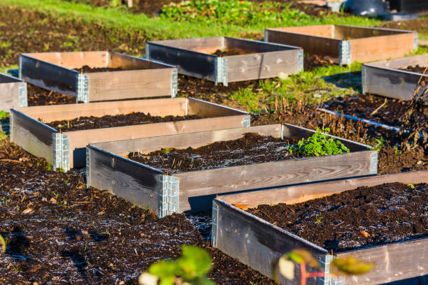 pallet collar raised garden bed