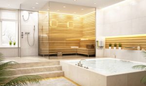 Big modern bathroom with shower and a large bath tub