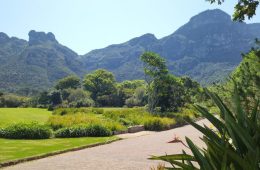 Cape Town Gardens