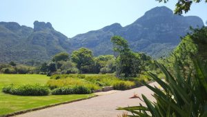 Cape Town Gardens