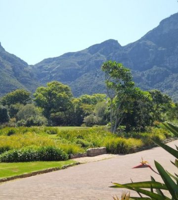 Cape Town Gardens