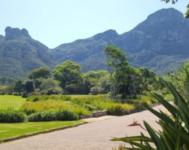 Cape Town Gardens