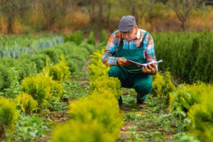 Gardener doing a checklist of his garden