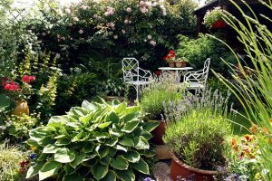 Miniature garden on a backyard in summer
