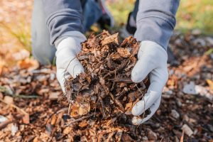 Water-saving tips for your home and garden