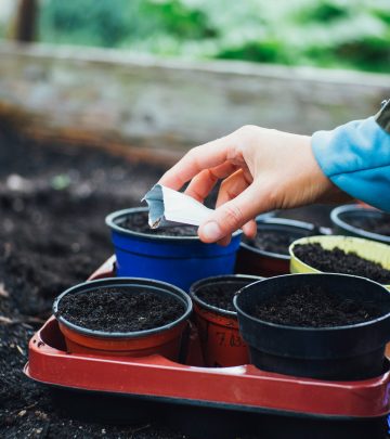 Do plant and vegetable seeds expire?