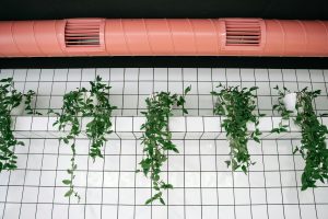 Get rid of grout with these easy tips