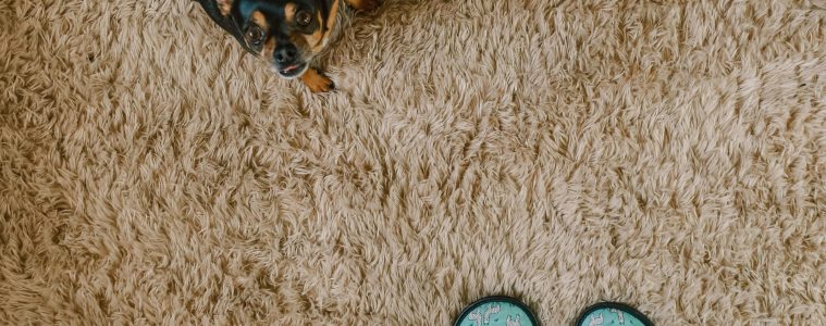 The pros and cons of installing heated floors